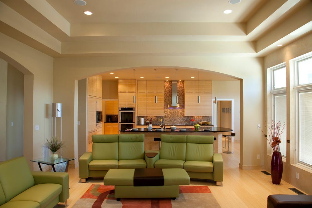 New Construction Quietly Modern Living Room 2